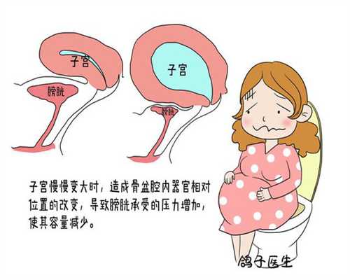 三代试管优质胚胎,试管价格北京?做试管流程有哪些?