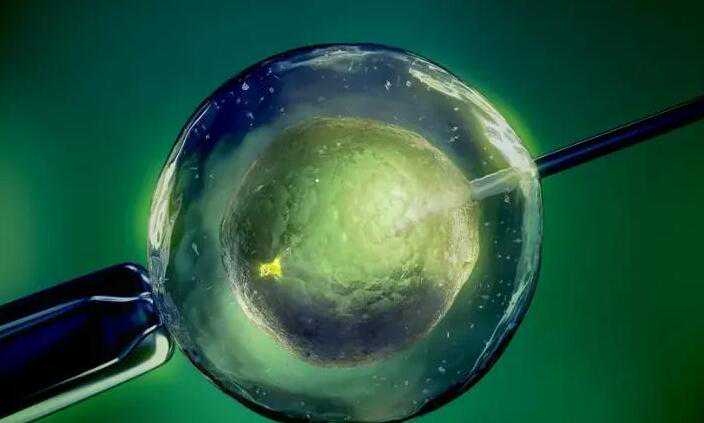 试管供精能做无创DNA吗_试管婴儿一般放几个胚胎是自己选吗_1Jn2s_输卵管粘连需